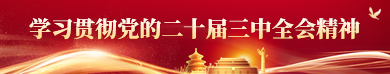 学习贯彻党的二十届三中全会精神