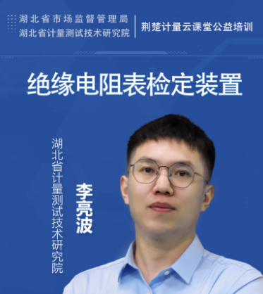 绝缘电阻表检定装置