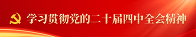学习贯彻党的二十届四中全会精神